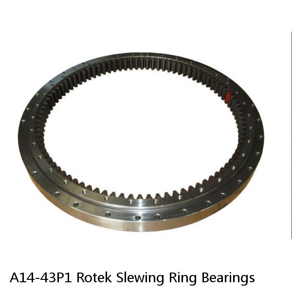 A14-43P1 Rotek Slewing Ring Bearings