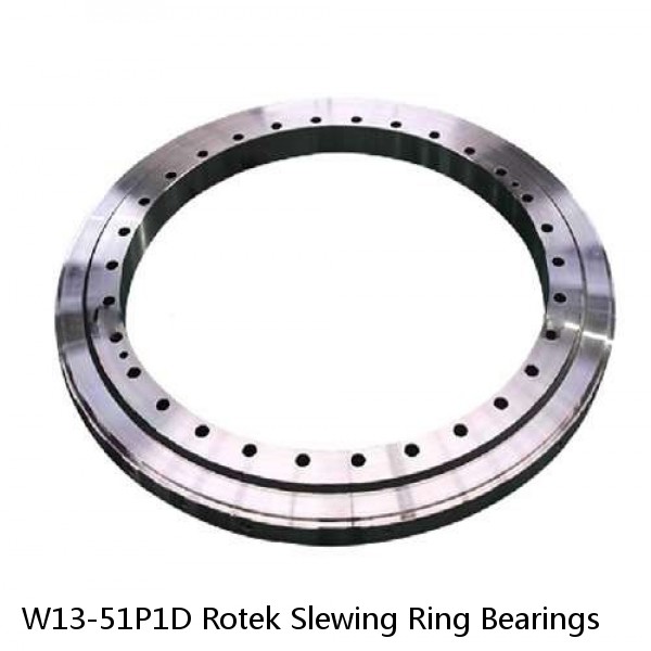 W13-51P1D Rotek Slewing Ring Bearings