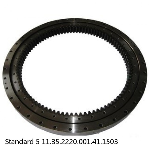 11.35.2220.001.41.1503 Standard 5 Slewing Ring Bearings
