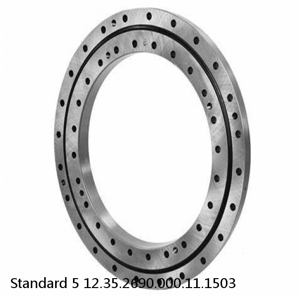 12.35.2690.000.11.1503 Standard 5 Slewing Ring Bearings
