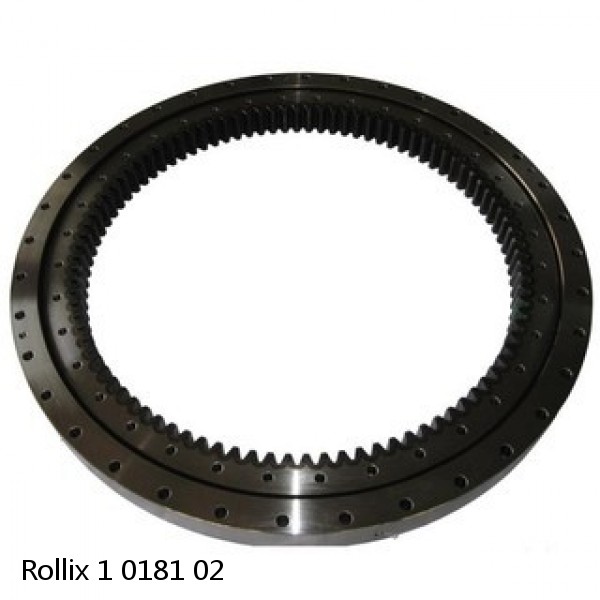 1 0181 02 Rollix Slewing Ring Bearings