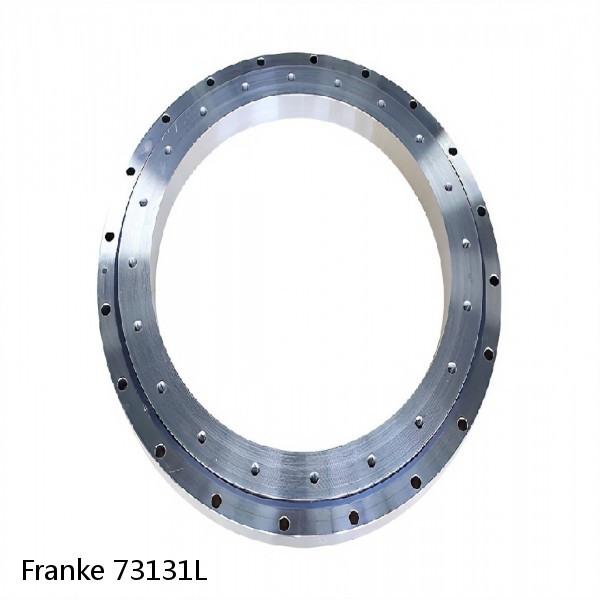 73131L Franke Slewing Ring Bearings