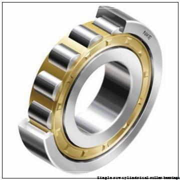 25 mm x 62 mm x 24 mm  NTN NUP2305ET2XC3 Single row cylindrical roller bearings