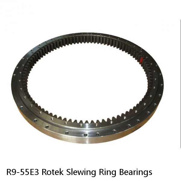R9-55E3 Rotek Slewing Ring Bearings