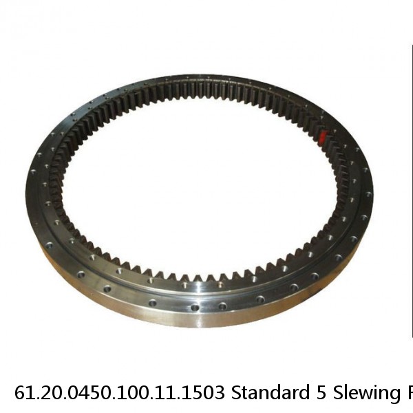 61.20.0450.100.11.1503 Standard 5 Slewing Ring Bearings #1 small image