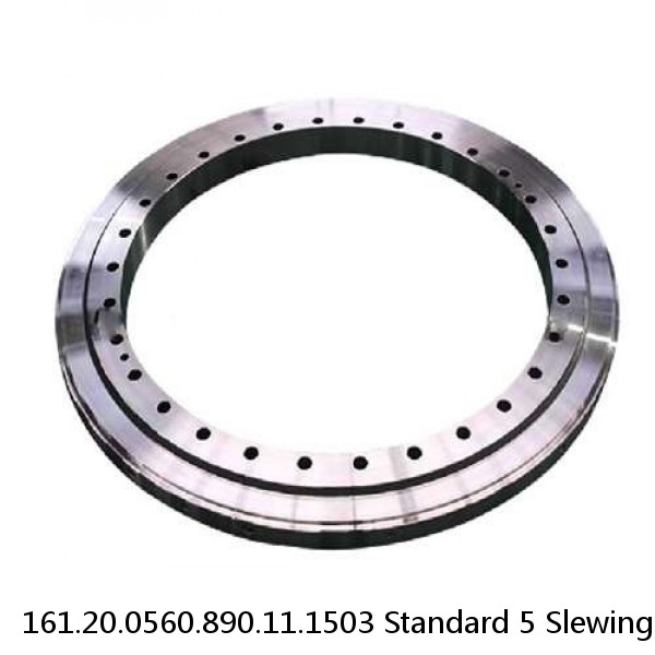 161.20.0560.890.11.1503 Standard 5 Slewing Ring Bearings #1 small image