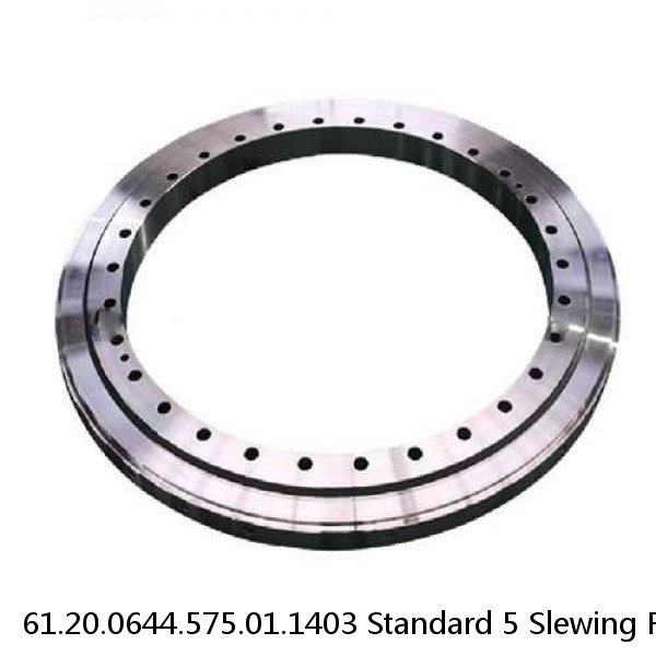 61.20.0644.575.01.1403 Standard 5 Slewing Ring Bearings #1 small image