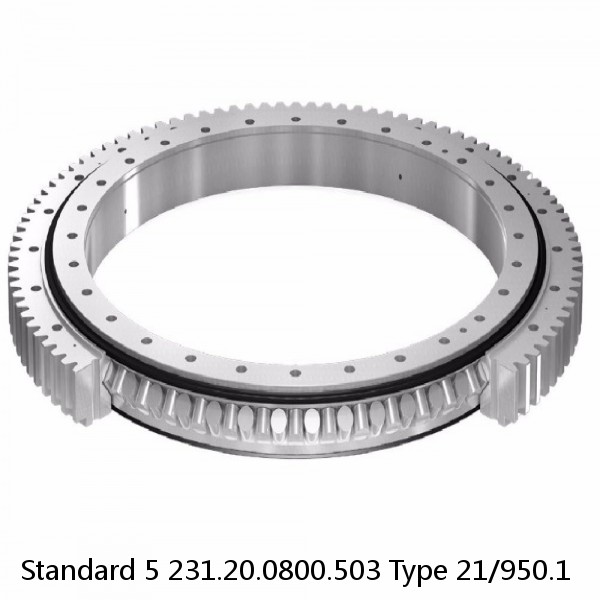 231.20.0800.503 Type 21/950.1 Standard 5 Slewing Ring Bearings #1 small image