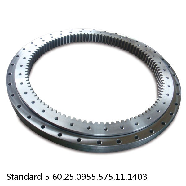 60.25.0955.575.11.1403 Standard 5 Slewing Ring Bearings