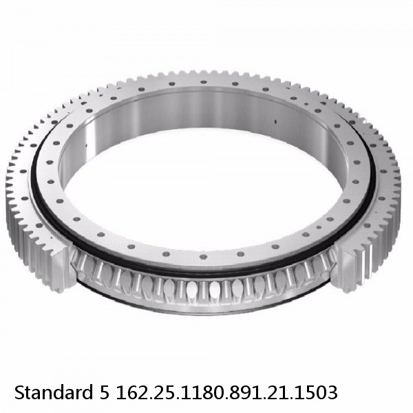 162.25.1180.891.21.1503 Standard 5 Slewing Ring Bearings #1 small image
