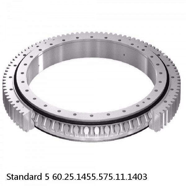 60.25.1455.575.11.1403 Standard 5 Slewing Ring Bearings