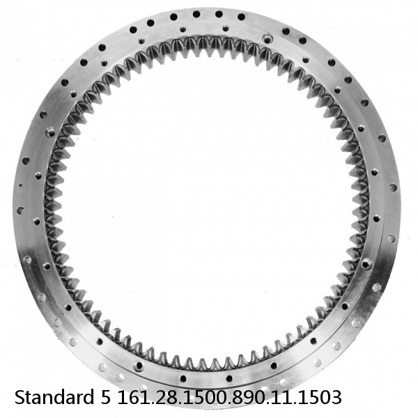 161.28.1500.890.11.1503 Standard 5 Slewing Ring Bearings #1 small image