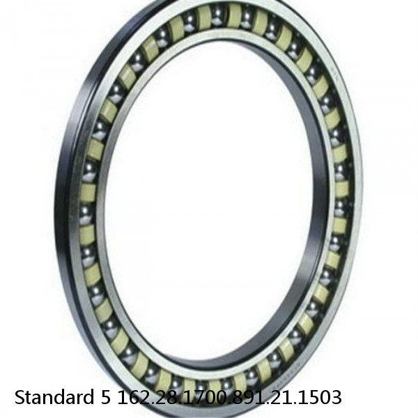 162.28.1700.891.21.1503 Standard 5 Slewing Ring Bearings #1 small image