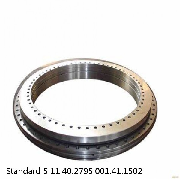 11.40.2795.001.41.1502 Standard 5 Slewing Ring Bearings #1 small image