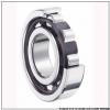 55 mm x 100 mm x 21 mm  NTN NUP211 Single row cylindrical roller bearings