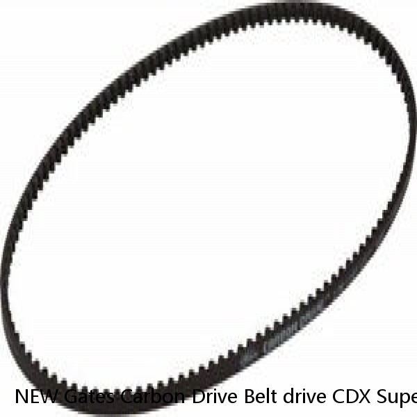 NEW Gates Carbon Drive Belt drive CDX Superfit rear cog Nexus Alfine 22t CenterT #1 small image