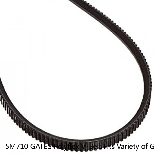 5M710 GATES Polyflex V-Belt Fits Variety of Grizzly, Harbor Freight, Jet Lathes #1 small image