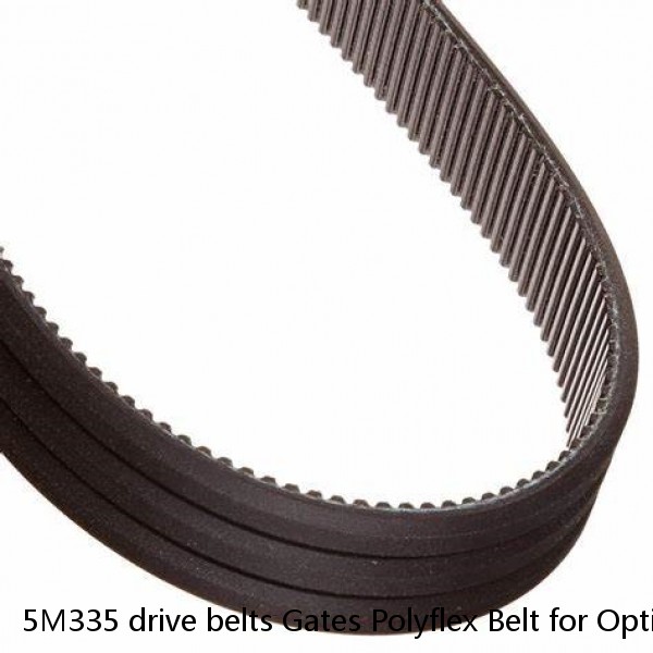 5M335 drive belts Gates Polyflex Belt for Optimum D 180 machine #1 small image