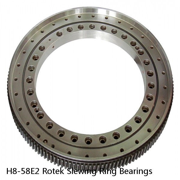 H8-58E2 Rotek Slewing Ring Bearings #1 image