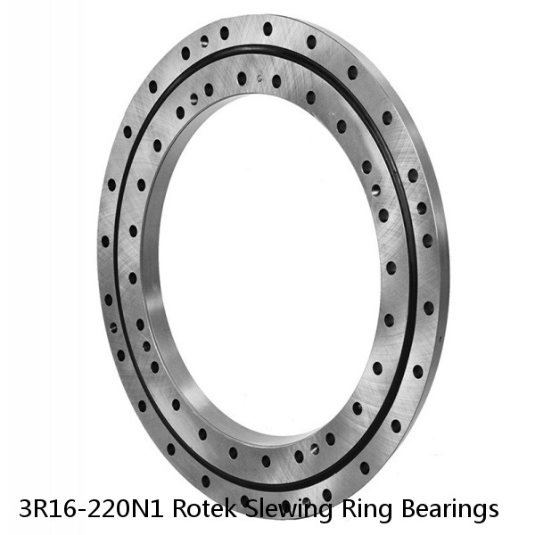 3R16-220N1 Rotek Slewing Ring Bearings #1 image