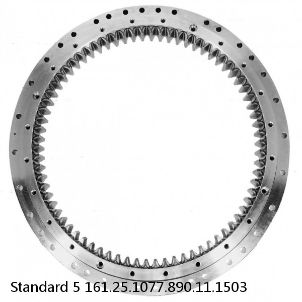 161.25.1077.890.11.1503 Standard 5 Slewing Ring Bearings #1 image