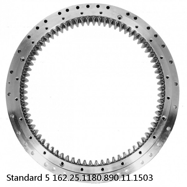 162.25.1180.890.11.1503 Standard 5 Slewing Ring Bearings #1 image