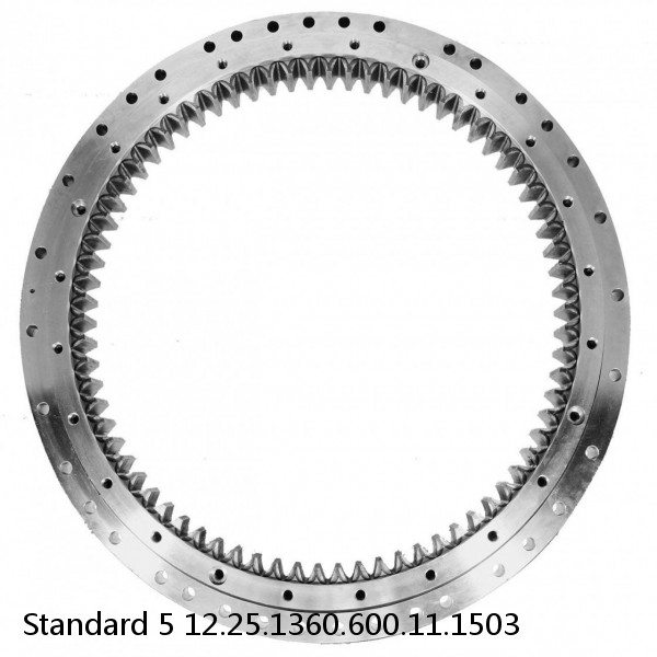 12.25.1360.600.11.1503 Standard 5 Slewing Ring Bearings #1 image