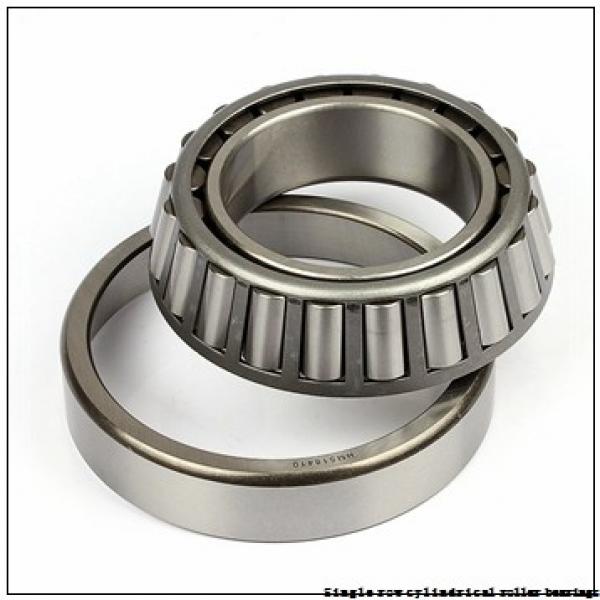 180 mm x 320 mm x 52 mm  NTN NUP236C3 Single row cylindrical roller bearings #1 image