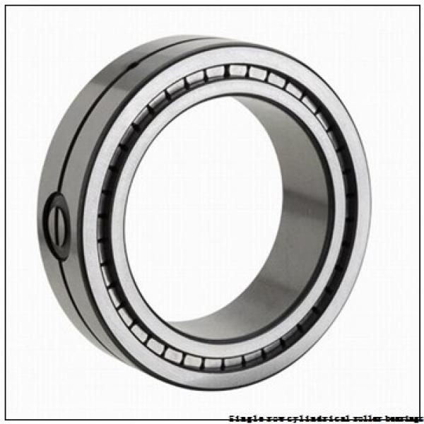 95 mm x 170 mm x 32 mm  NTN NUP219U Single row cylindrical roller bearings #1 image