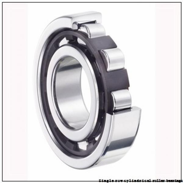 25 mm x 62 mm x 24 mm  NTN NUP2305EC4DZ Single row cylindrical roller bearings #1 image