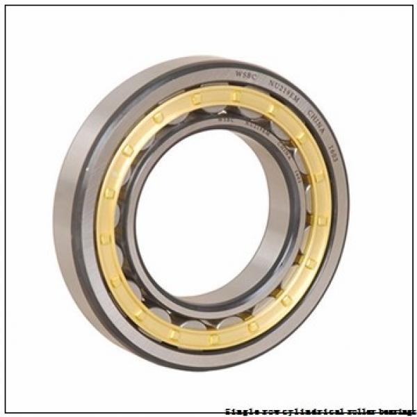 45 mm x 100 mm x 25 mm  NTN NUP309U Single row cylindrical roller bearings #2 image